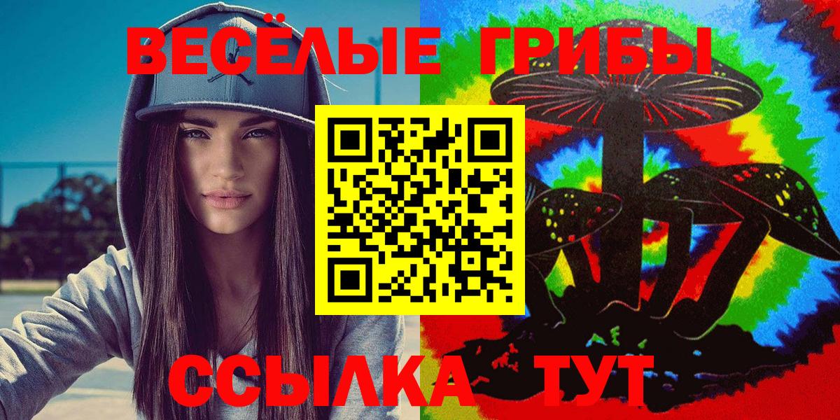 Дзержинск  Галлюциногенные грибы мухоморы  Вход с VPN 