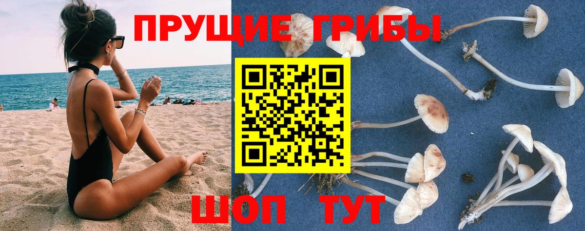 Галлюциногенные грибы мицелий Дзержинск